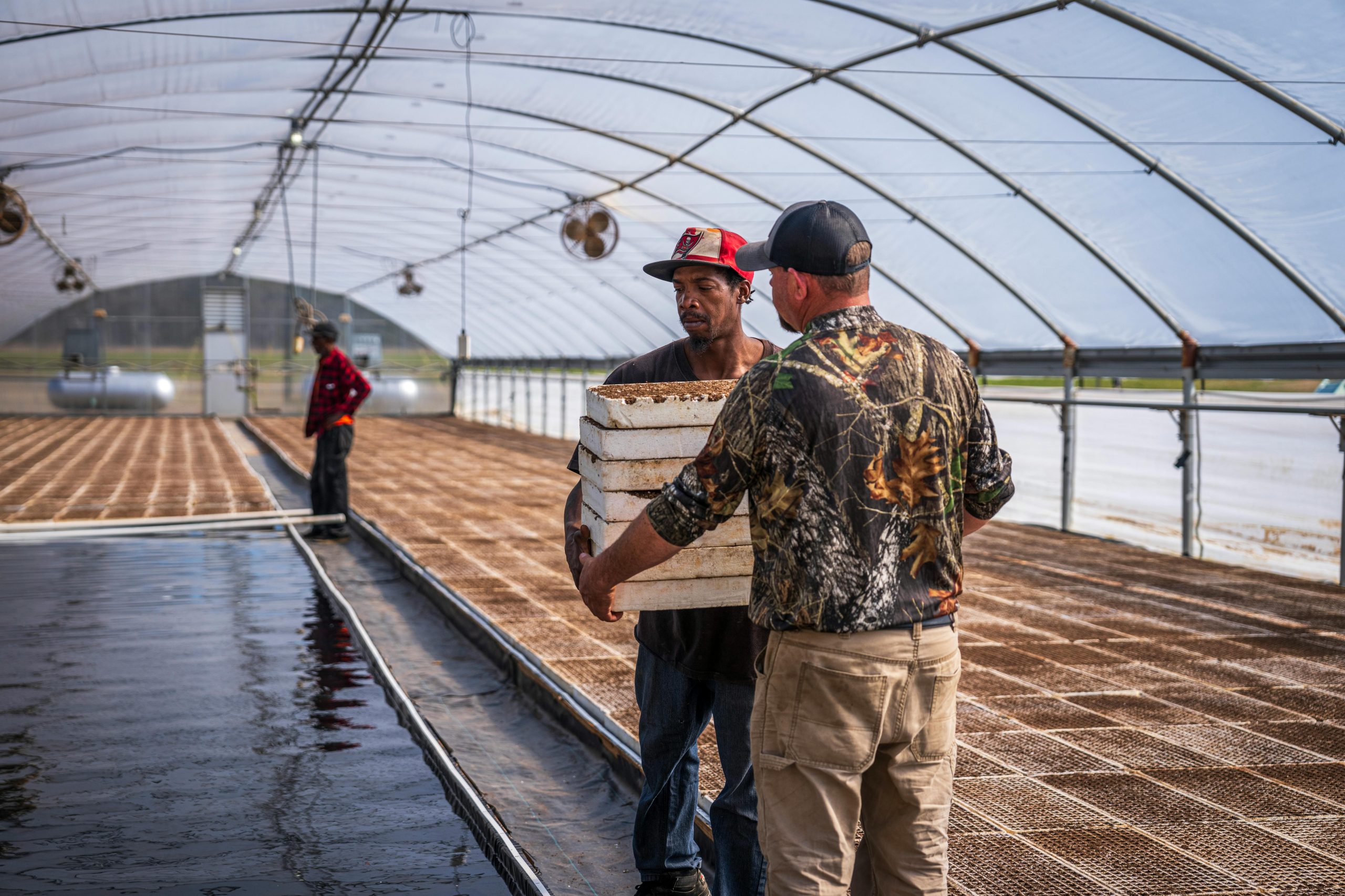 Empowering Farmers: Revolutionizing Cannabis and Hemp Sales with Blazy Weed Marketplace