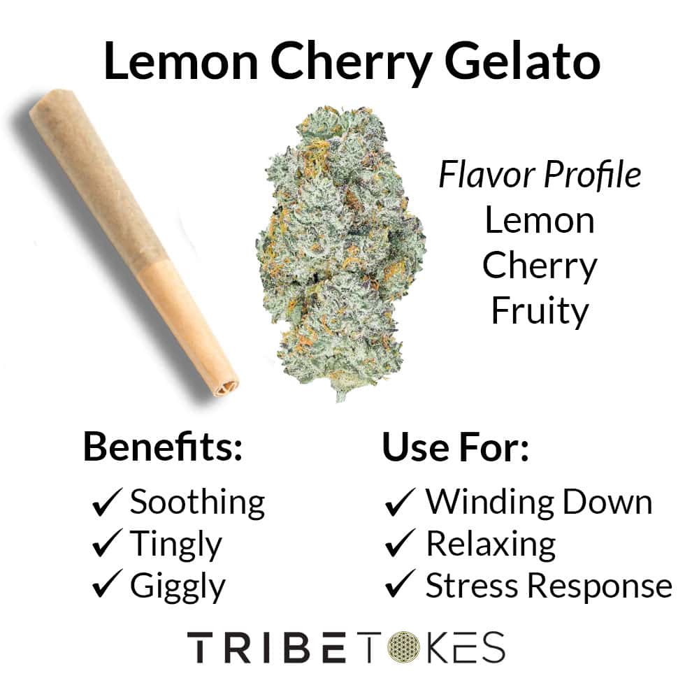 Lemon Cherry Gelato — Flavor, Effects & Benefits