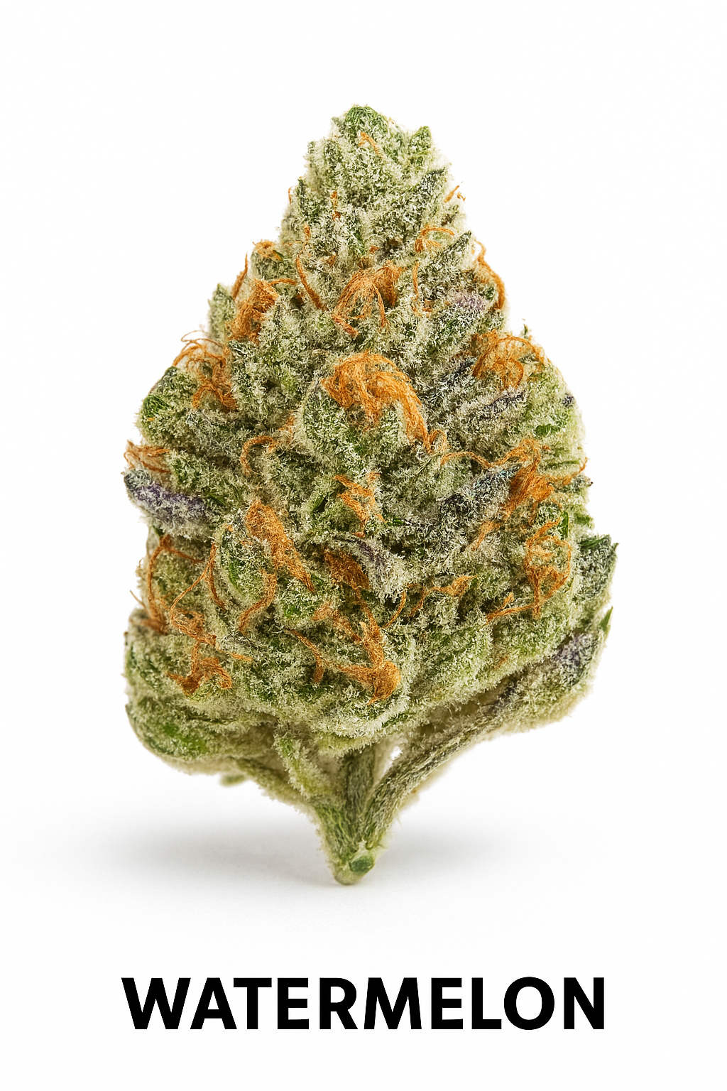 watermelon-strain-420