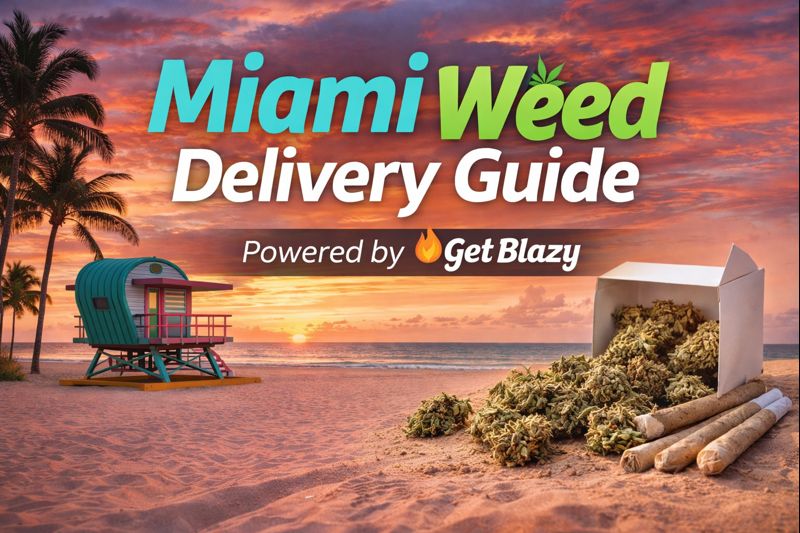 Get Blazy This Christmas Chill Celebrate & Stay Cozy This Holiday Season